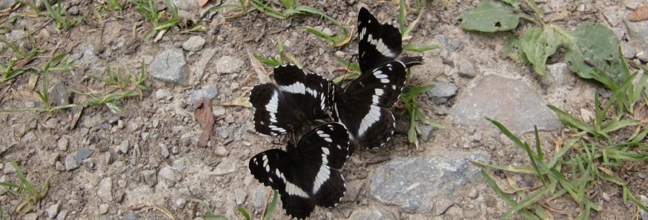 Naučné stezky v České republice